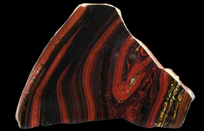 Polished Tiger Iron Stromatolite - ( Billion Years) #65331